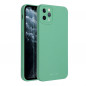 Apple iPhone 11 Pro Max Case Roar Luna Monochrome, Stylish, An aesthetic accessory  Green
