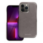 Apple iPhone 13 Pro Case Roar Look Grey