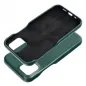 Apple iPhone 12 Pro Case Roar Look Green