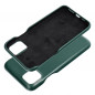 Apple iPhone 11 Pro Max Case Roar Look Green