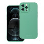 Apple iPhone 12 Pro Max Case Roar Luna Monochrome, Stylish, An aesthetic accessory  Green